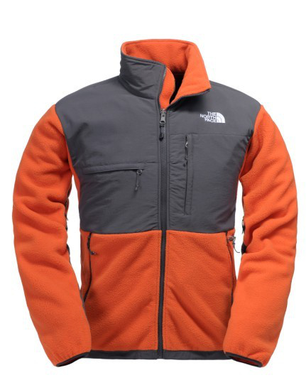 Soldes Veste The North Face Homme